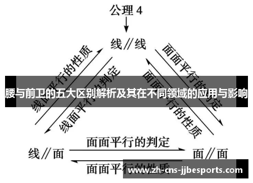 腰与前卫的五大区别解析及其在不同领域的应用与影响